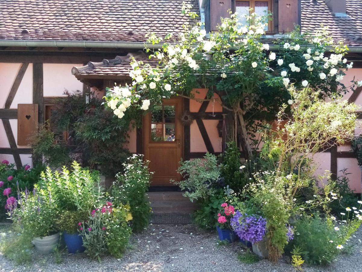 Hissele Bed & Breakfast Hilsenheim Dış mekan fotoğraf